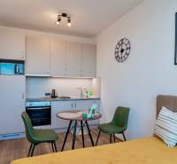 Konyha egy egyszobás lakásban, fa mintázatú padlóval, étkezőasztallal és kanapéval.