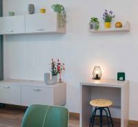 Minimalista belső tér fa dekorációjú padlóval és bútorokkal egy egyszobás lakásban.