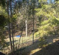 Az Oščadnica körüli erdős környezet, fákkal és füves területtel.