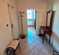 Előszoba egy kétszobás lakásban csempével, tükörrel és páfránnyal.