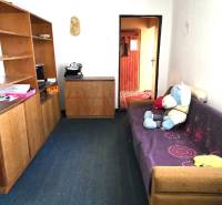 Családi ház szőnyeggel, kanapéval és polcokkal. Gyerek mackó a kanapén.