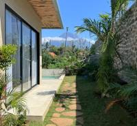 Amede családi házának kertje medencével, kőjárdával és pálmafákkal.