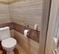 Fürdőszoba fa dekorációjú falakkal egy kétszobás lakásban.