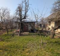 Kert a családi ház mellett az Új utcában, Lastovce-ban, gyep és fákkal.