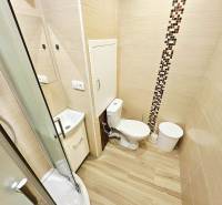 Kompakt fürdőszoba garzonlakásban WC-vel, zuhanyzóval és fa dekoros padlóval.