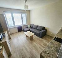 Garzonlakás fa dekor padlóval, kanapéval és TV-sarokkal.