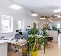 Világos irodák számítógépekkel, növényekkel és fa dekorációjú padlóval.