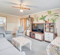 Nappali egy 4 szobás lakásban kényelmes ülőgarnitúrával, szobanövényekkel és szőnyeggel.