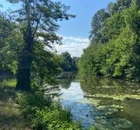 Nyugodt vízfolyás buja növényzettel körülvéve és az ég tükröződéseivel Újfaluban.