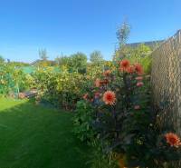 Családi ház virágoskertje a Radová utcában, Újfalun, kerítéssel körülvéve.