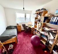 Egy szoba családi házban asztallal, ággyal, polcokkal és piros szőnyeggel.