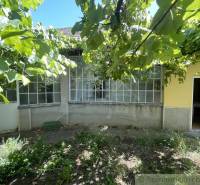 Családi ház Tardoskedden verandával, zölddel körülvéve, kert szőlővel.