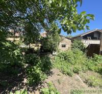 Családi ház kertje Tardoskedden, buja növényzettel és fákkal körülvéve.