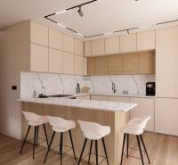 Nový byt v štandarde Bytový dom Mních, Kriváň 5-52-39_Enscape scene 1a.png