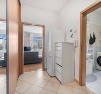 Az egyszobás lakás belsejében látható a folyosó, a fürdőszoba és a nappali tér.