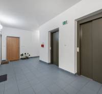 Előszoba liftekkel és ajtókkal egy egyszobás lakásban, csempézett padlóval.