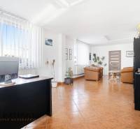 Világos üzlethelyiség székekkel, asztalokkal és padlón lévő dekorációkkal, fa dekorációval.