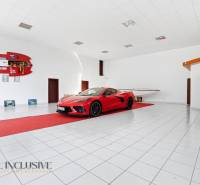 Az üzlethelyiség egy autót és egy hajót mutat be fehér padlóval és sportfelszereléssel.