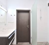 Fürdőszoba zuhanyzóval és üvegfallal a háromszobás lakásban.