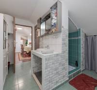 Családi ház fürdőszobája zuhanyzóval és kilátással az étkezőre.