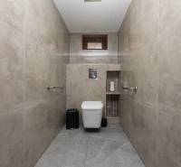 Családi ház fürdőszobája kerámia burkolatokkal és WC-vel.