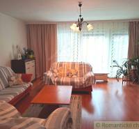 Nappali egy családi házban, fa dekorációjú padlóval, világítással és kanapékkal.