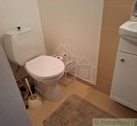 Fürdőszoba családi házban, WC-vel és mosdóval, fa dekorációjú padlóval.