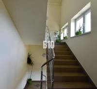 A korláttal ellátott lépcső és az ablakok melletti növények növelik az irodák természetes megvilágítását.