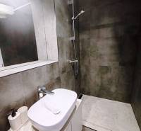 Fürdőszoba a házikóban mosdóval, tükörrel és zuhanyzóval, sötét csempékkel.