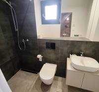 Fürdőszoba a házikóban zuhanyzóval, modern mosdókagylóval és WC-vel, fa dekorációjú padlón.