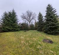 A Hlavná utcai családi ház kertje Piskorovcén fákkal.