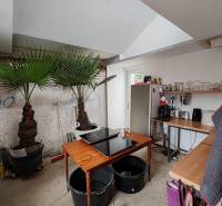 Családi ház belső tere pálmafákkal, konyhasarokkal és praktikus munkaterülettel.