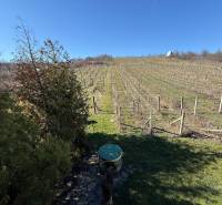 Aranyosmaróton található egy szőlőskert házikóval és rendezett kerttel.