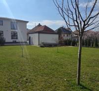 Kert a Gábora Steinera utcai 3 szobás lakásnál, Trnava, fiatal fákkal.