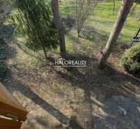 Újlót községben, a ház mellett van egy kert, ahol térkő és fák találhatók.