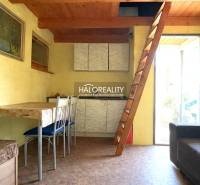 A faház belső tere fa mennyezettel, létrával és fa dekorációjú padlóval.