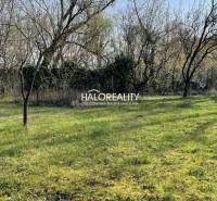 Kert gyepes területtel és fákkal az Üllői Zsitva melletti házikónál.