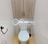 WC felszerelve tárolószekrénnyel, fa mintázatú padló az egyszobás lakásban.