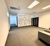 Irodák szőnyegpadlóval, ülőhelyekkel és falfestménnyel otthonos légkört teremtenek.