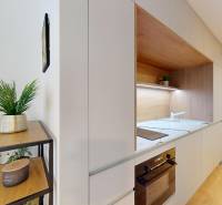 Konyha egy egyszobás lakásban beépített készülékekkel és egy polccal, amin egy növény van.