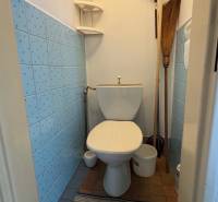 Családi házban lévő WC kék csempékkel, sarokpolccal és szőnyeggel.