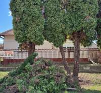 Családi ház Radaván, a Fő utcán, előkerttel és élő sövénnyel.