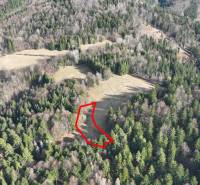 Lúky a lesy v Lazy pod Makytou sa rozprestierajú medzi hustými stromami.