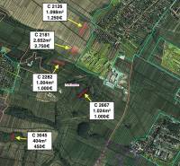 Légi felvétel a mezőgazdasági és erdőterületek eloszlásáról Hozelecben.