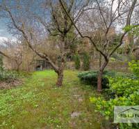 Kert a Krčméryho utcai, pozsonyi óvárosi 4 szobás lakásnál.