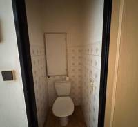 WC csempével és fa dekorációjú padlóval egy kétszobás lakásban.