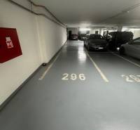 IMG_9594.jpeg