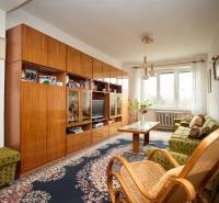 Nappali szoba szőnyeggel, fa bútorokkal és nagy ablakkal egy háromszobás lakásban.