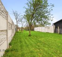 Kert pázsittal és fákkal a családi házban Dolný Bar-ban, a kerítés mentén.