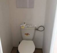 WC fa hatású padlóval egy kétszobás lakásban.